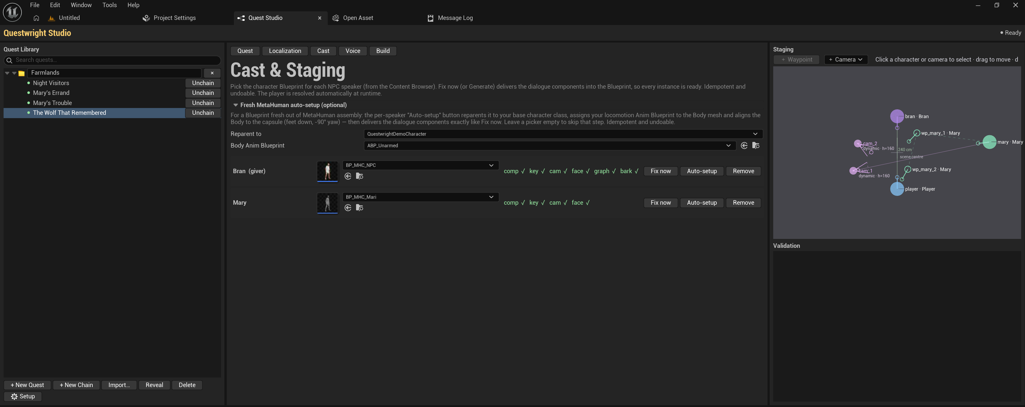 The Fresh MetaHuman auto-setup section on the Cast tab